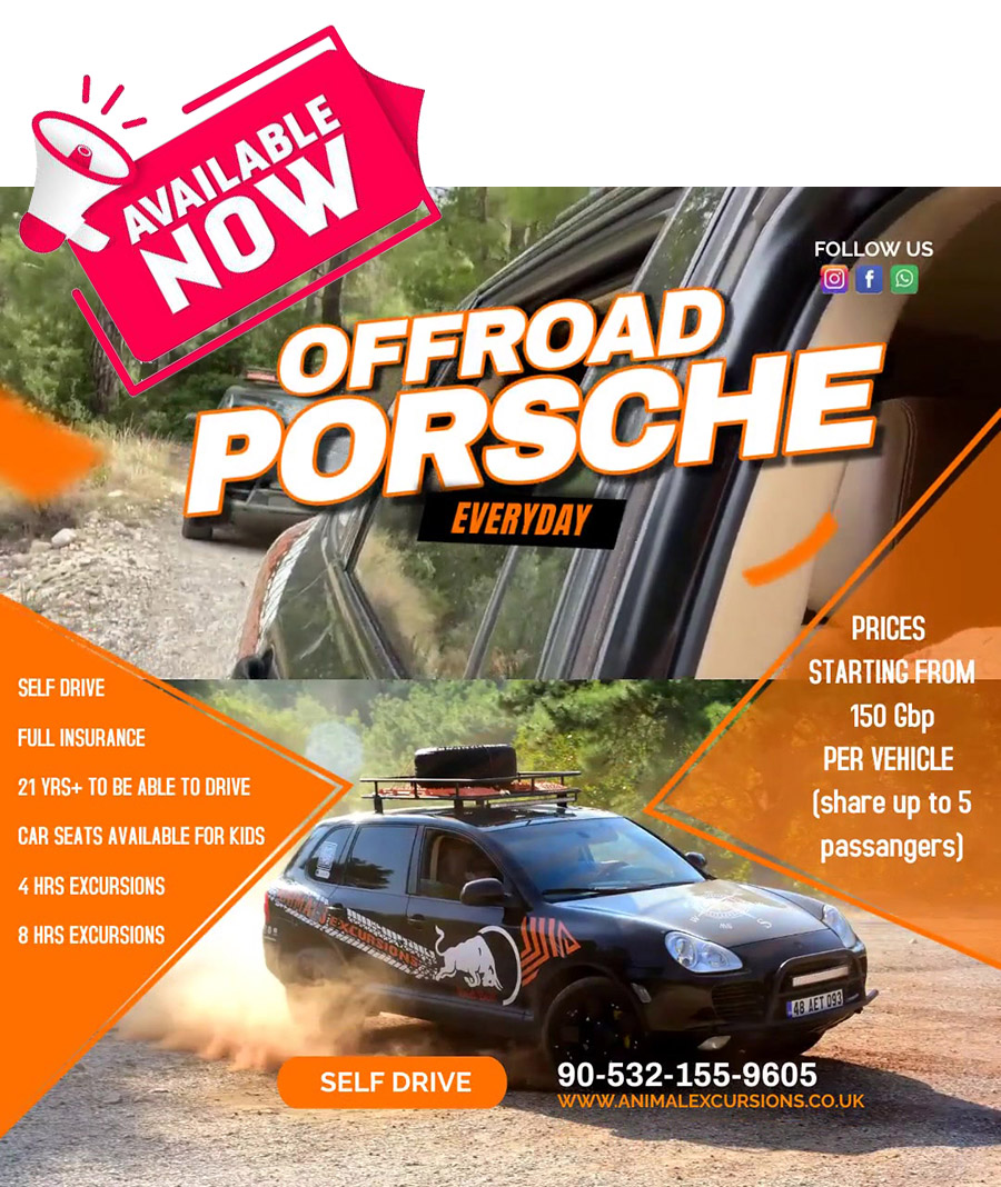 Porsche Cayenne Overland Safari